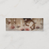 Puppy Dog profielkaart Mini Visitekaartje (Achterkant)