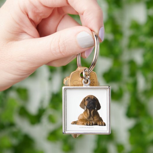 Puppy Dog Sleutelhanger (Hand)