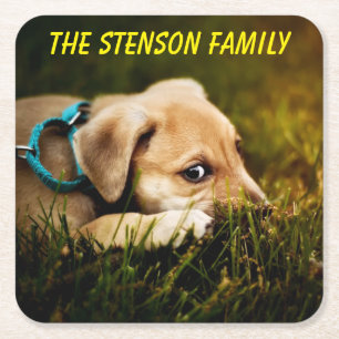 Puppy Dog sluiten Kartonnen Onderzetters