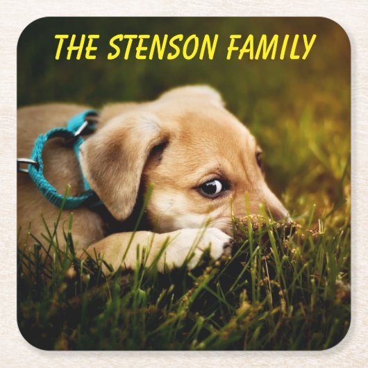 Puppy Dog sluiten Kartonnen Onderzetters (Voorkant)