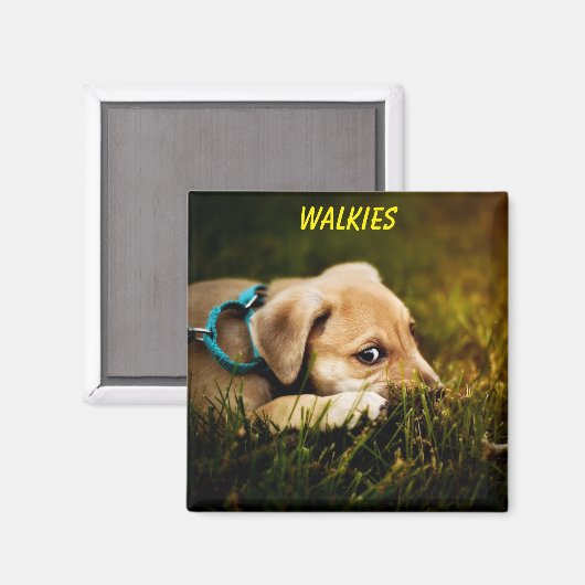 Puppy Dog sluiten Magneet (Voorkant / Achterkant)