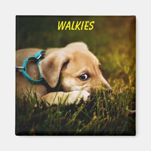 Puppy Dog sluiten Magneet (Voorkant)