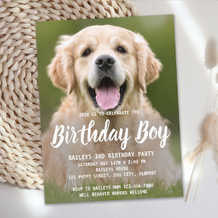 Puppy Dog Verjaardagsfeestje Schattige Huisdier Fo Briefkaart