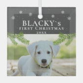 Puppy Dog voor eerste kerstmis Glas Ornament (Voorkant)