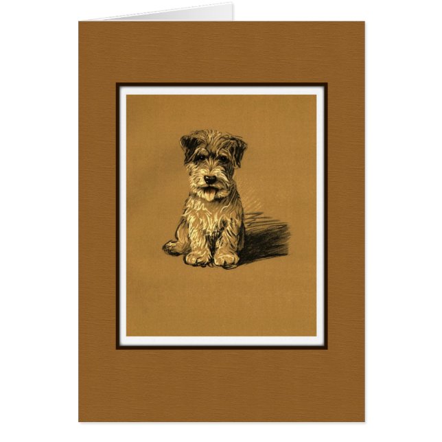 Puppy Dog voor kleine terrier (Voorkant)