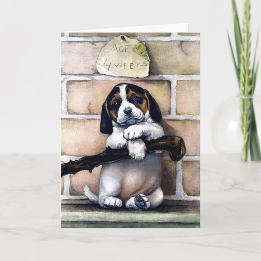 Puppy dog voor verkoop schattige illustratie kaart (Voorkant)