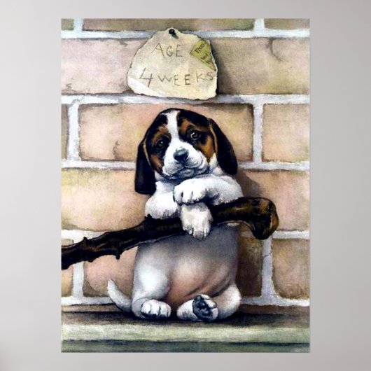 Puppy dog voor verkoop schattige illustratie poster (Voorkant)