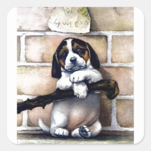 Puppy dog voor verkoop schattige illustratie vierkante sticker