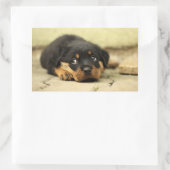 Puppy doggy rechthoekige sticker (Tas)
