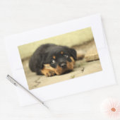 Puppy doggy rechthoekige sticker (Envelop)