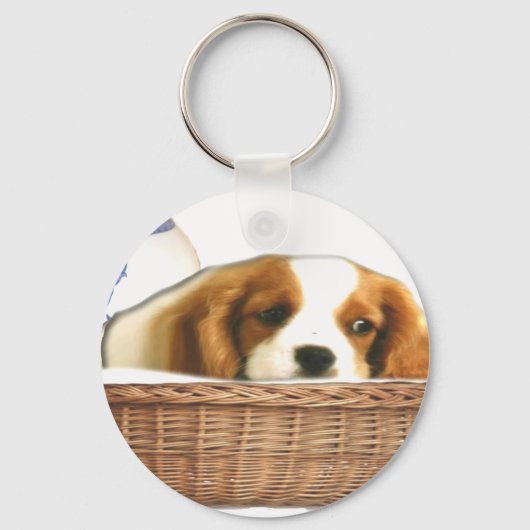 Puppy Dogs Sleutelhanger (Voorkant)