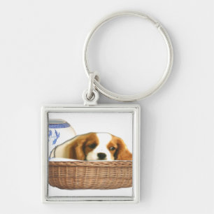 Puppy Dogs Sleutelhanger