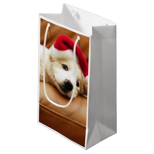 Puppy draagt een pet voor kerstmis en ligt op sofa klein cadeauzakje (Voorkant Gekanteld)