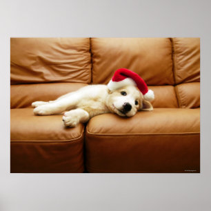 Puppy draagt een pet voor kerstmis en ligt op sofa poster