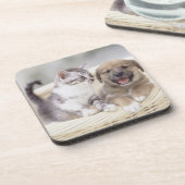 Puppy en Baby Cat Onderzetter (Linkerzijde)