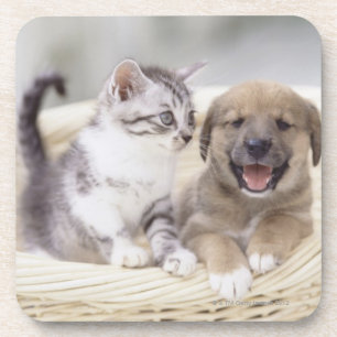 Puppy en Baby Cat Onderzetter