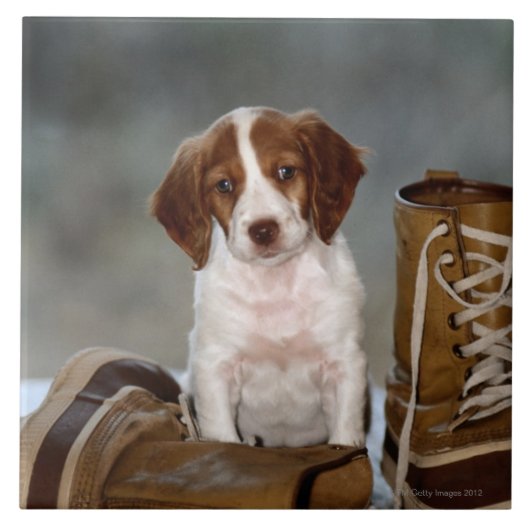 Puppy en Boots Tegeltje (Voorkant)