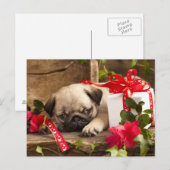Puppy en cadeaudoos briefkaart (Voorkant / Achterkant)