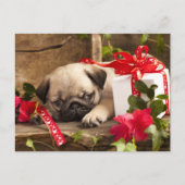 Puppy en cadeaudoos briefkaart (Voorkant)