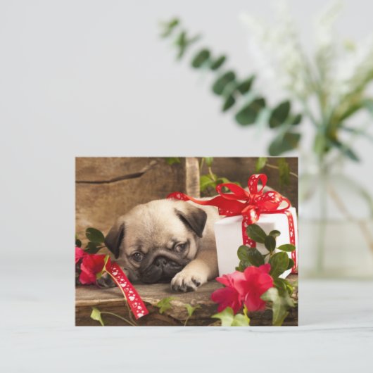 Puppy en cadeaudoos briefkaart (Staand voorkant)