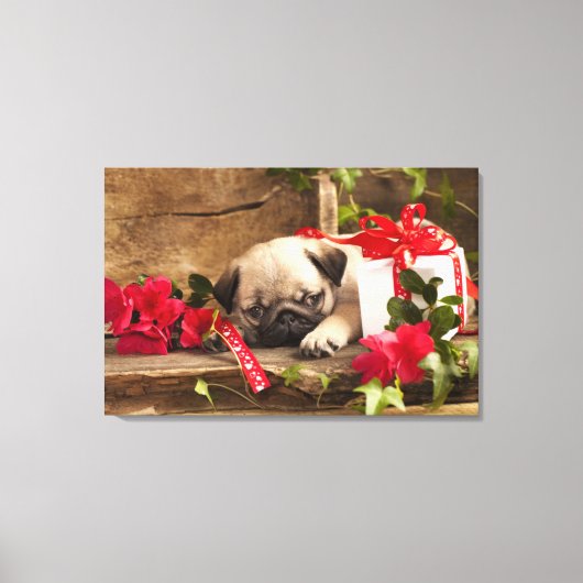 Puppy en cadeaudoos canvas afdruk (Voorkant)