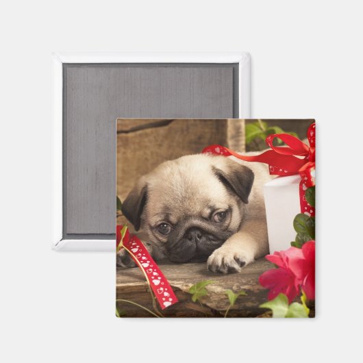 Puppy en cadeaudoos magneet (Voorkant / Achterkant)