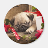 Puppy en cadeaudoos magneet (Voorkant)