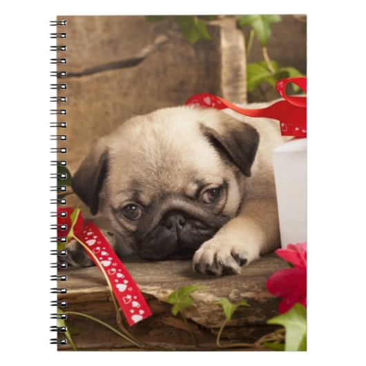 Puppy en cadeaudoos notitieboek (Voorkant)