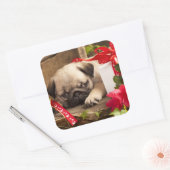 Puppy en cadeaudoos vierkante sticker (Envelop)