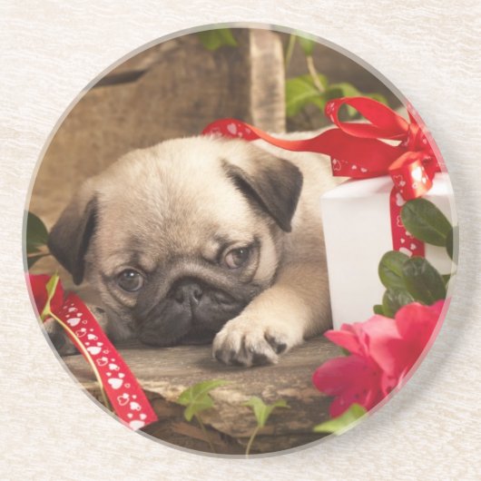 Puppy en cadeaudoos zandsteen onderzetter (Voorkant)