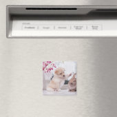 Puppy en hopkonijn magneet (Insitu (Vaatwasser))