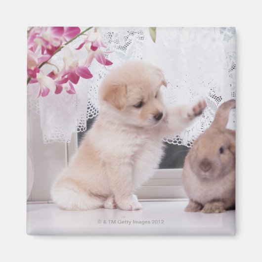 Puppy en hopkonijn magneet (Voorkant)