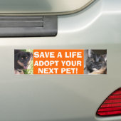 Puppy en Kat Bumpersticker (Op auto)