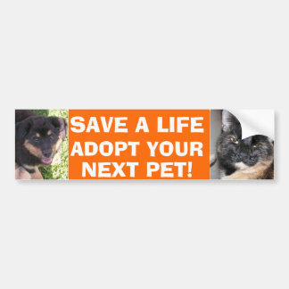 Puppy en Kat Bumpersticker