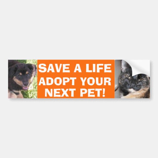 Puppy en Kat Bumpersticker (Voorkant)