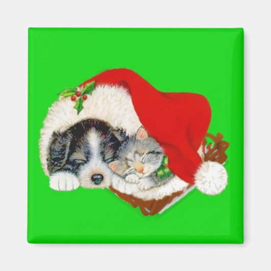 Puppy en Kitten Kerstmis Magneet (Voorkant)