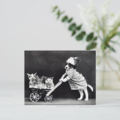 Puppy- en Kittens-mensenrechtensituatie Briefkaart (Staand voorkant)