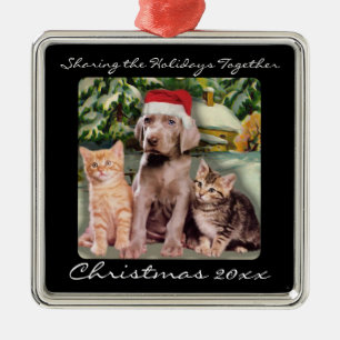 Puppy- en Kittens-pet voor levende dieren Metalen Ornament