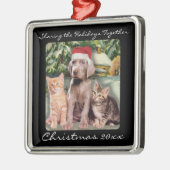 Puppy- en Kittens-pet voor levende dieren Metalen Ornament (Links)