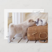 Puppy en konijn briefkaart (Voorkant / Achterkant)