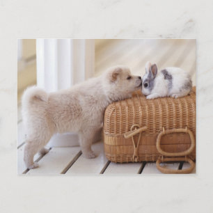 Puppy en konijn briefkaart