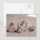 Puppy en konijn briefkaart (Voorkant / Achterkant)