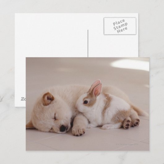 Puppy en konijn briefkaart (Voorkant / Achterkant)