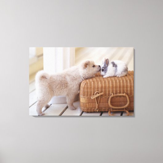 Puppy en konijn canvas afdruk (Voorkant)