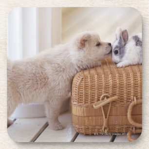 Puppy en konijn drankjes onderzetter
