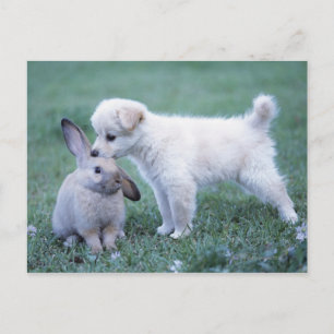 Puppy en konijn in de luik briefkaart