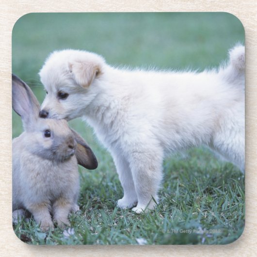 Puppy en konijn in de luik op gras onderzetter (Voorkant)