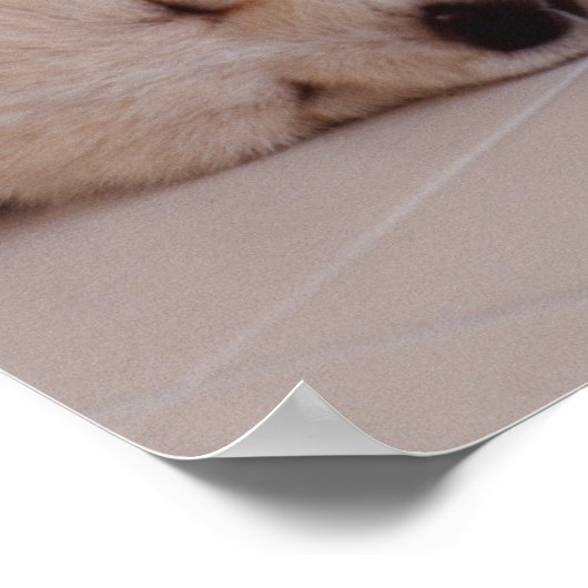 Puppy en konijn poster (Hoek)