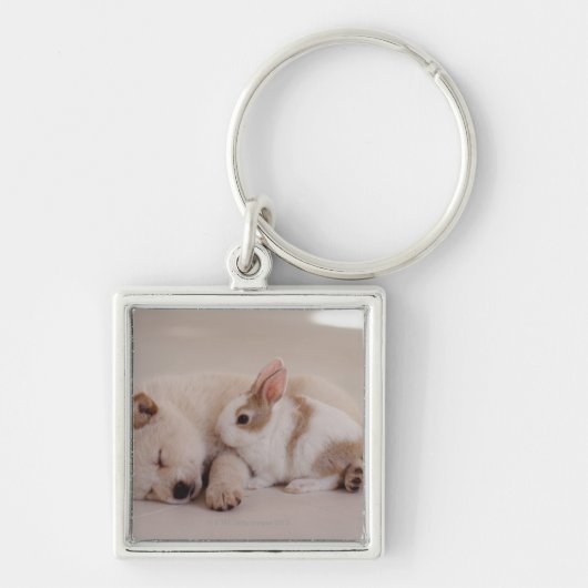 Puppy en konijn sleutelhanger (Voorkant)