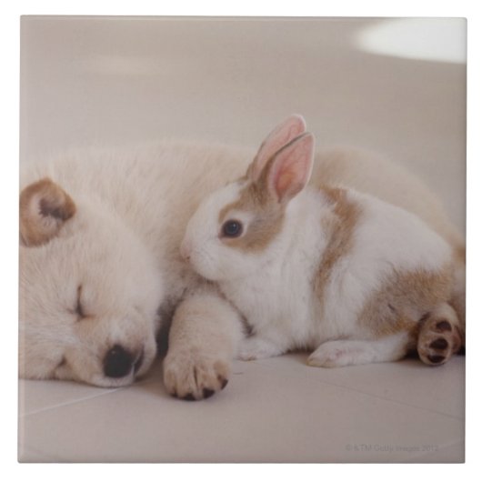 Puppy en konijn tegeltje (Voorkant)